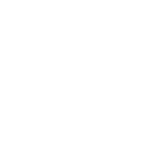 THRIVER COMPETENCIES